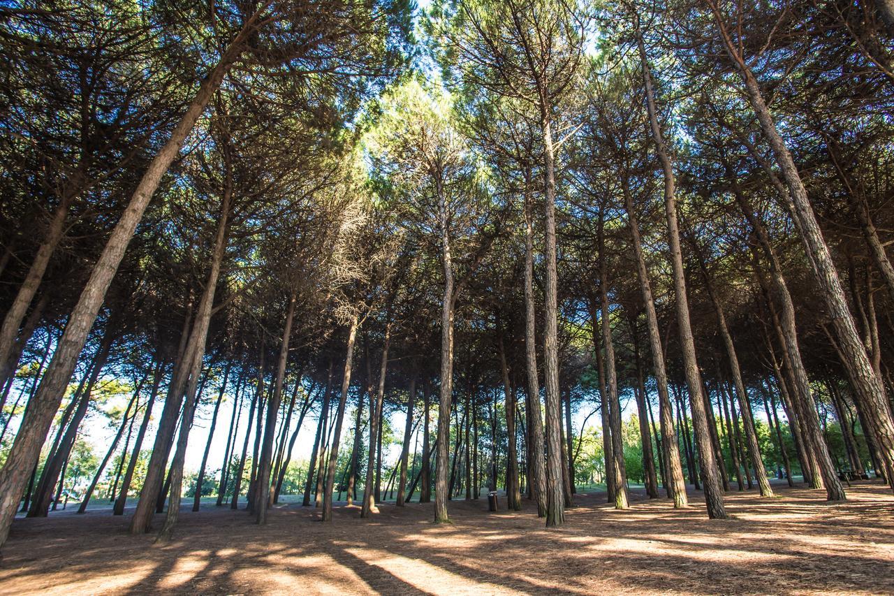 Hotel Garden Μιλάνο Μαριτίμα Εξωτερικό φωτογραφία